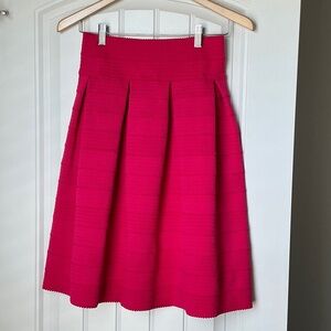 Pink Women's Skirt
